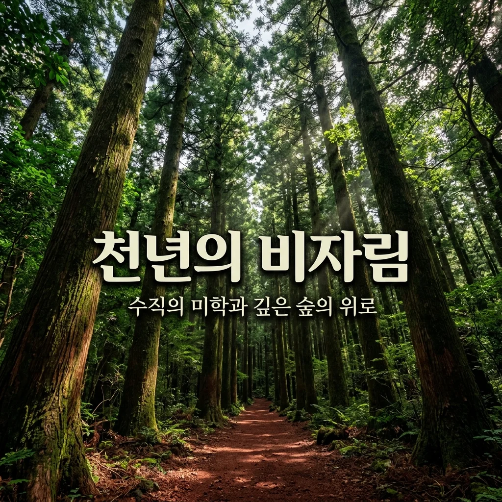 제주 비자림 숲길 가이드: 수직의 미학과 깊은 그늘이 주는 위로